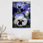 Periwinkle Stiefmütterchens Poster (Küche)