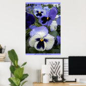 Periwinkle Stiefmütterchens Poster (Heimbüro)