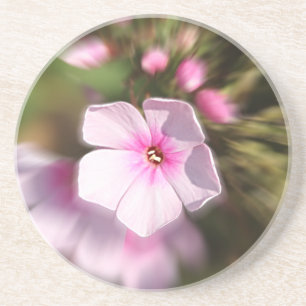 Periwinkle Untersetzer
