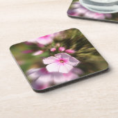 Periwinkle Untersetzer (Linke Seite)