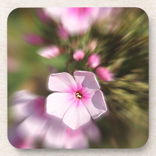 Periwinkle Untersetzer (Vorderseite)
