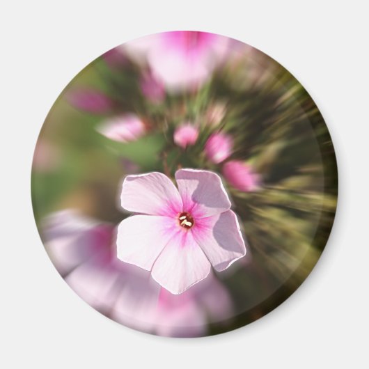 Periwinkle Zoom Magnet (Vorne)