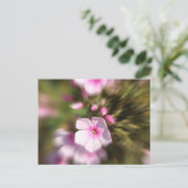 Periwinkle Zoom Postkarte (Stehend Vorderseite)