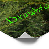 Perkins Cove Drawbridge - Ogunquit maine Poster (Ecke)