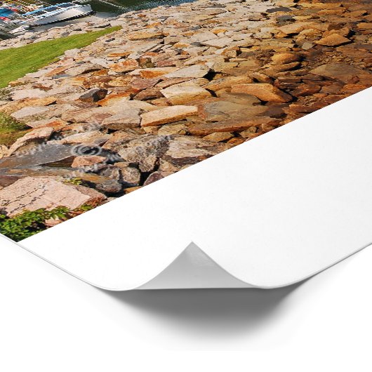 Perkins Cove Poster (Ecke)