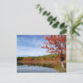 Perkins Pond Autumn Scene Postkarte (Stehend Vorderseite)
