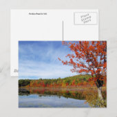 Perkins Pond Autumn Scene Postkarte (Vorne/Hinten)