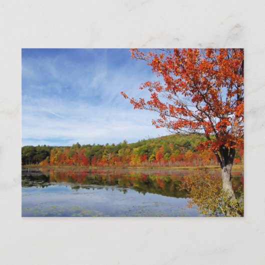 Perkins Pond Autumn Scene Postkarte (Vorderseite)
