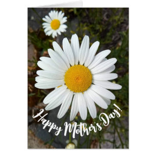 Perky White Daisy Blume Muttertagskarte