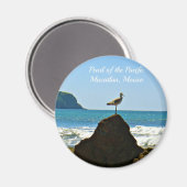 Perle des Pazifik Mazatlan Mexico Bird Magnet (Vorderseite/Rückseite)