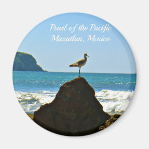 Perle des Pazifik Mazatlan Mexico Bird Magnet