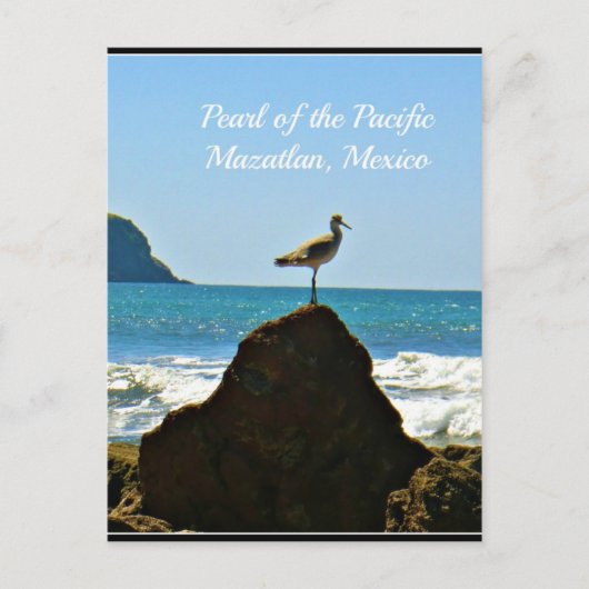 Perle des Pazifik Mazatlan Mexico Bird Postkarte (Vorderseite)