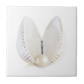 Perle und Muschel Fliese (Vorderseite)