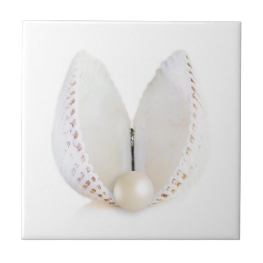 Perle und Muschel Fliese (Vorderseite)