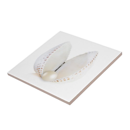 Perle und Muschel Fliese (Seite)