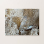 Perlen, Austern und Meereskorallen Fotografie Puzzle (Horizontal)