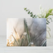 Perlen im Gras (Stehend Vorderseite)