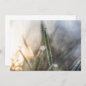 Perlen im Gras (Vorne/Hinten)