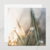 Perlen im Gras (Vorne/Hinten)