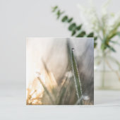 Perlen im Gras (Stehend Vorderseite)