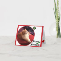 Perlen-Miezekatze-Katzen-Feiertag! Karte