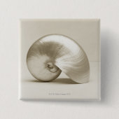 PerleNautilusSeashell Button (Vorderseite)