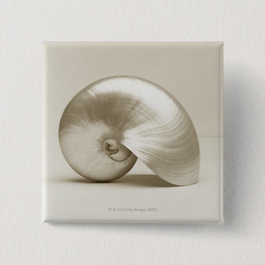 PerleNautilusSeashell Button (Vorderseite)
