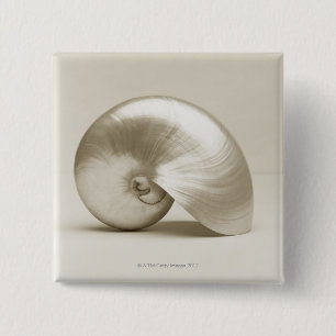 PerleNautilusSeashell Button