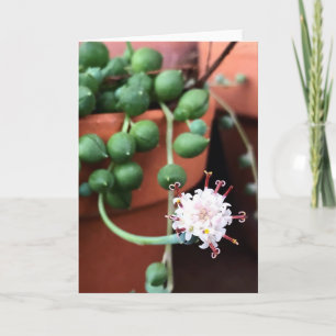 Perlenschmuck Karte