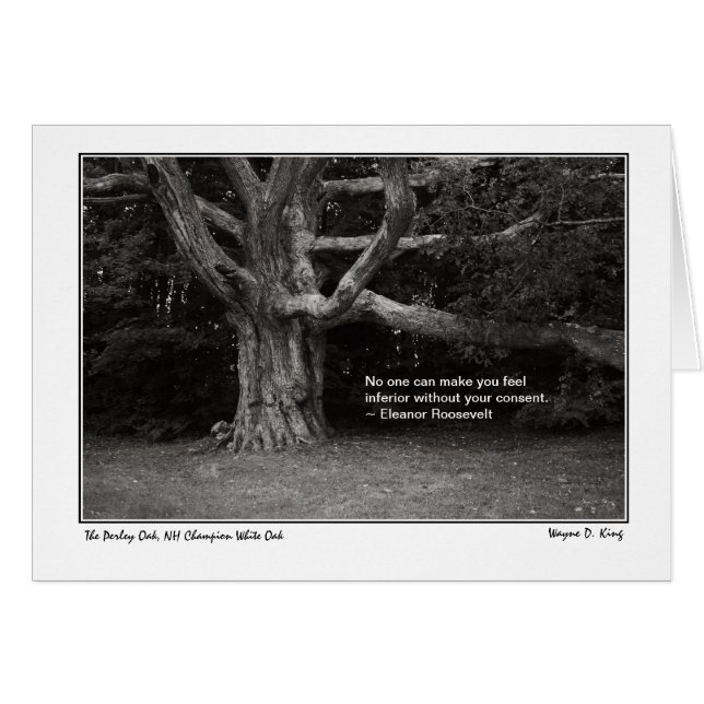 Perley Oak Monochrome Eleanor Roosevelt Card (Vorderseite (Horizontal))