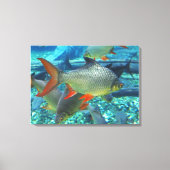 Perlfisch Leinwanddruck (Vorderseite)