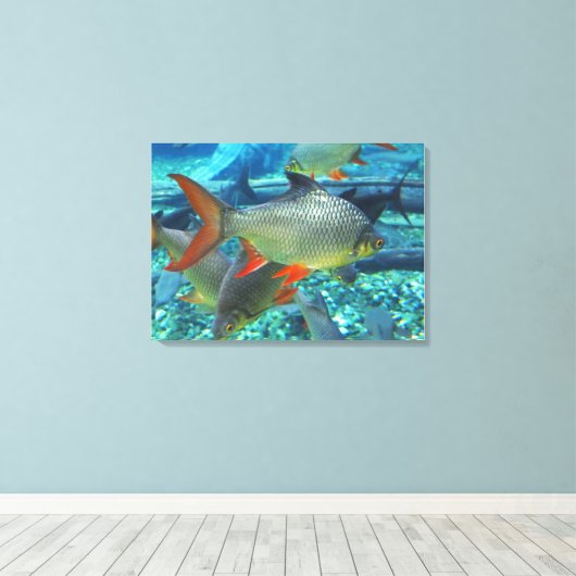 Perlfisch Leinwanddruck (Insitu (Holzboden))