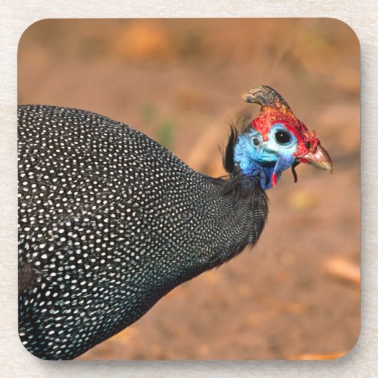 Perlhuhn (Numida meleagris). Afrika, Untersetzer (Vorderseite)