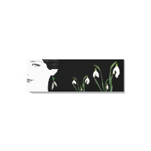 Perlhühner mit hübscher Modedarstellung