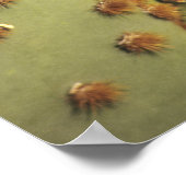 Perlkaktus in Blüte, Arizona-Sonora 2 Poster (Ecke)