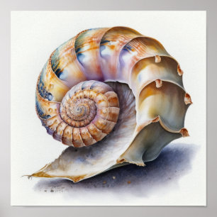 Perlmutt- und Lavendel-Spiral-Meeresmuschel-Illust Poster