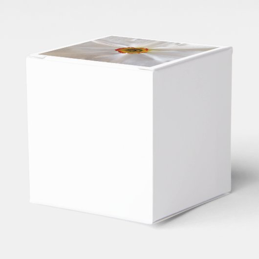 Perlweiße Narzisse Geschenkschachtel (Vorderseite)