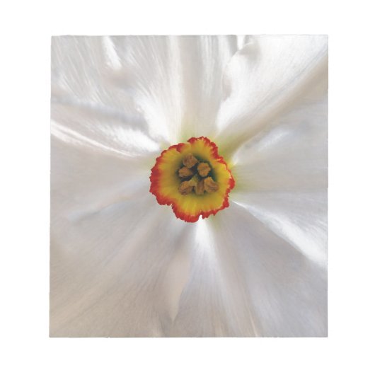 Perlweiße Narzisse Notizblock (Vorderseite)