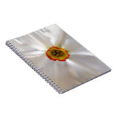 Perlweiße Narzisse Notizblock (Rechte Seite)