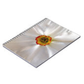 Perlweiße Narzisse Notizblock (Linke Seite)