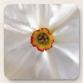 Perlweiße Narzisse Untersetzer (Vorderseite)