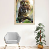 Pernambuco pygmy-owl poster