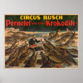 Pernelet und sein Krokodil Busch Circus Poster (Vorne)