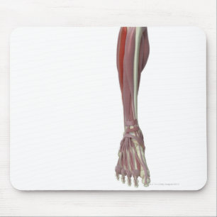 Peroneus Longus Mousepad