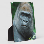 Perplexie Gorilla Fotoplatte (Seite)