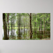 Perrin Park Poster (Vorne)