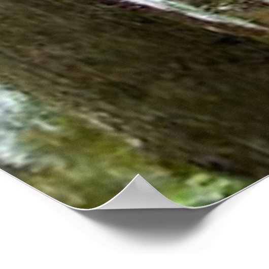 Perrin Park Poster (Ecke)