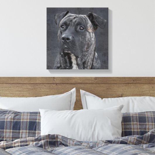 Perro de Presa Canario - Dogo Canario Leinwanddruck (Insitu (Schlafzimmer))
