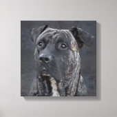 Perro de Presa Canario - Dogo Canario Leinwanddruck (Vorderseite)