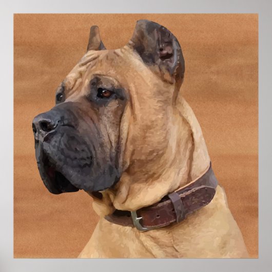 Perro de Presa Canario - Dogo Canario Poster (Vorne)